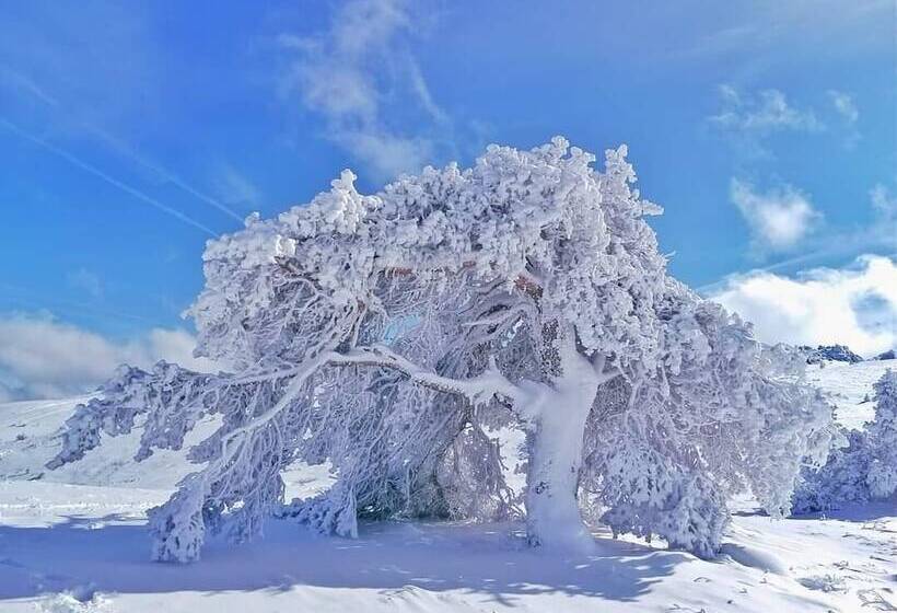 فندق Silver İnn Spa