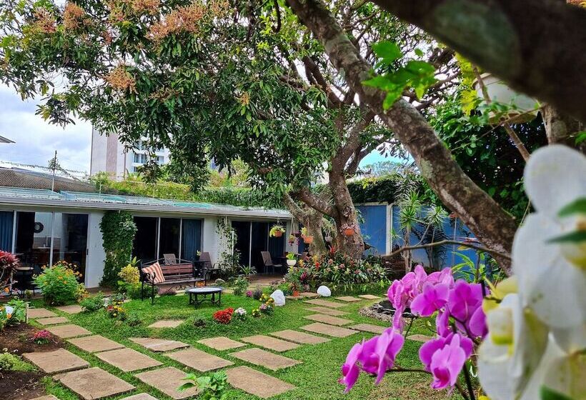 Общежитие Casa Jardin Del Mango