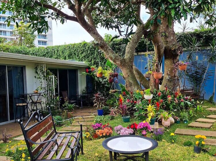 Общежитие Casa Jardin Del Mango