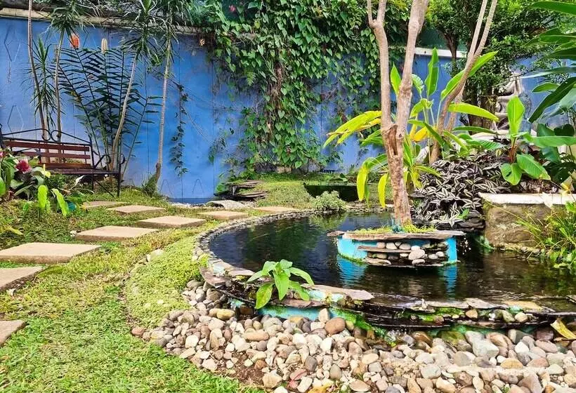 هاستل Casa Jardin Del Mango
