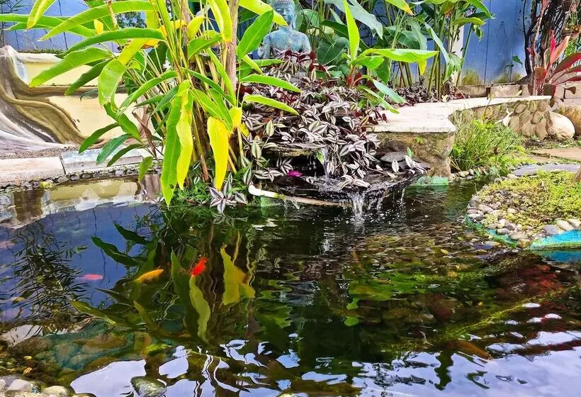 هاستل Casa Jardin Del Mango