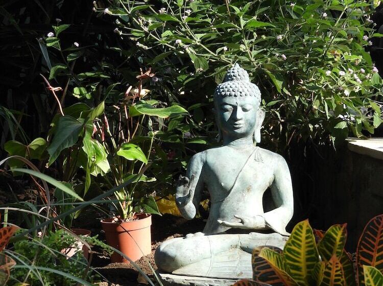 Общежитие Casa Jardin Del Mango