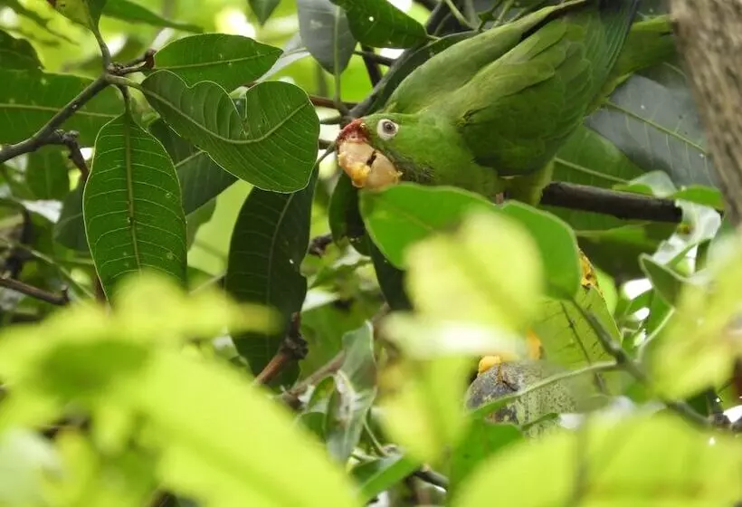 هاستل Casa Jardin Del Mango