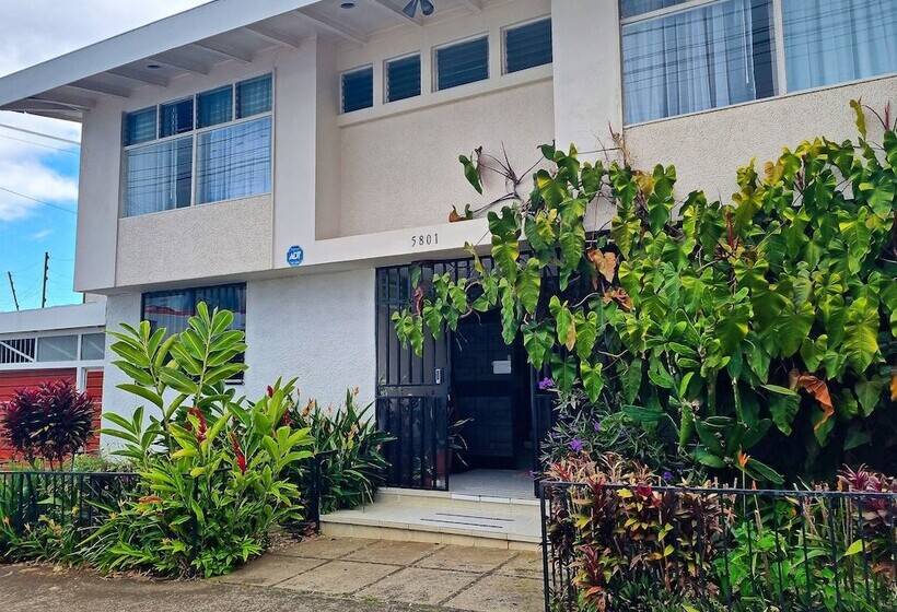 Общежитие Casa Jardin Del Mango