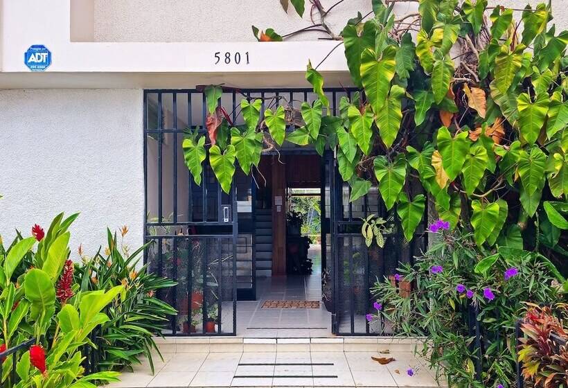 Общежитие Casa Jardin Del Mango