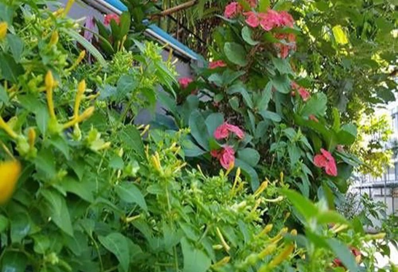 Beautyland Hotel Bo Cho