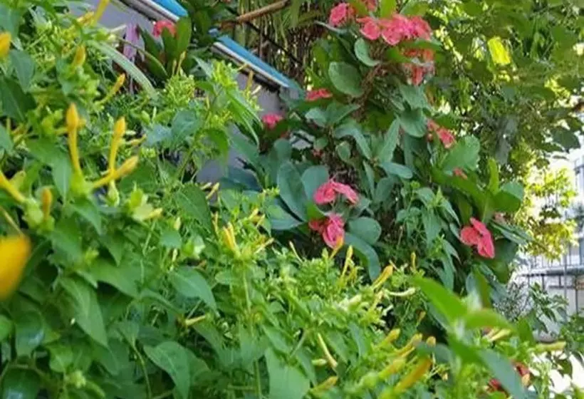 Beautyland Hotel Bo Cho