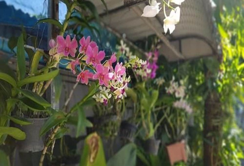 Beautyland Hotel Bo Cho