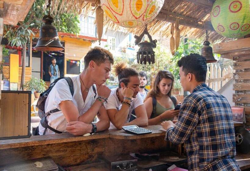 هاستل Wander Thirst