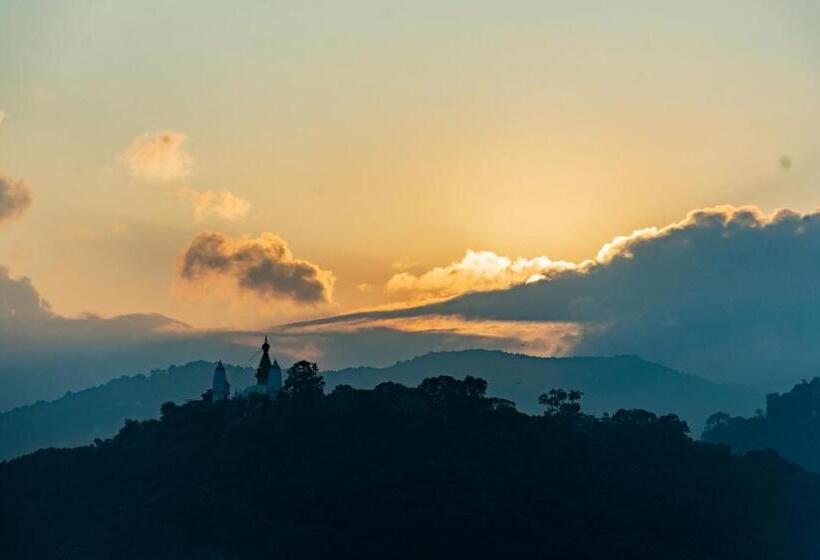 هاستل Wander Thirst