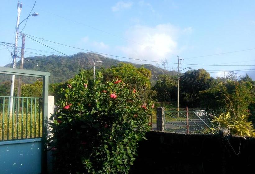 Aamiaismajoitus (B&B) Dondejosé