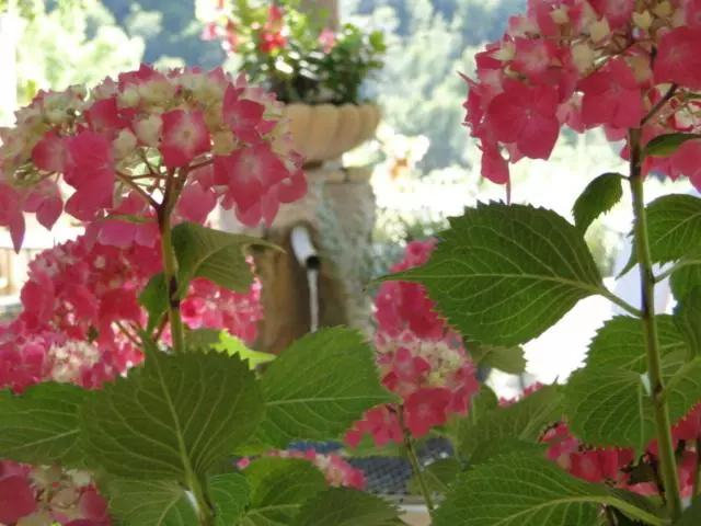 ホテル Les Florets
