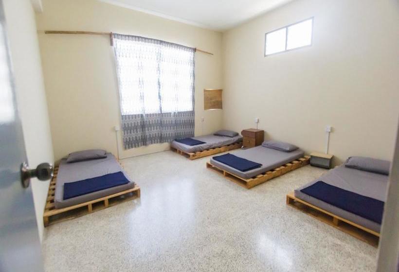 هاستل Backpackers @ Beacon Kch