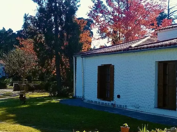 B&b Villa Giardino