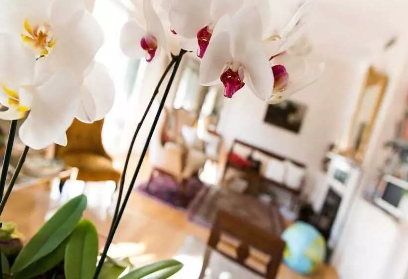 تختخواب و صبحانه Casa Malena
