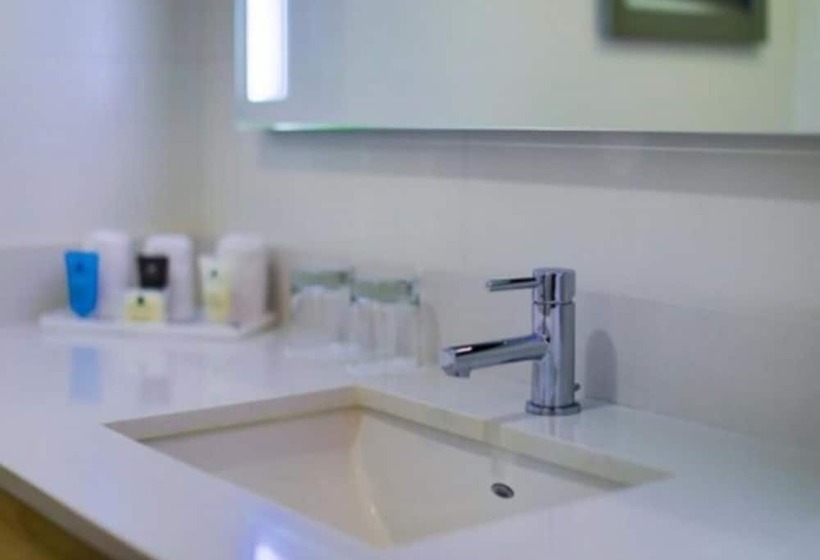 Gran Hotel De Puebla By Hnf