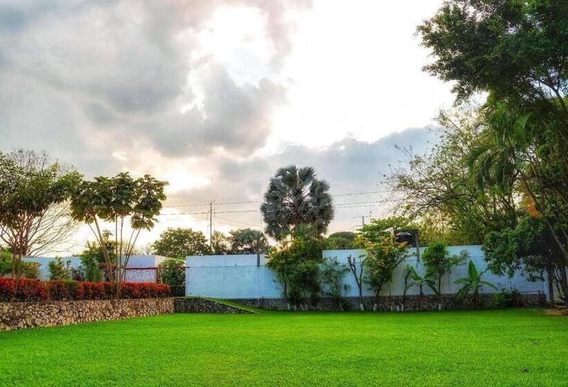 酒店 Villa Blanca Suites