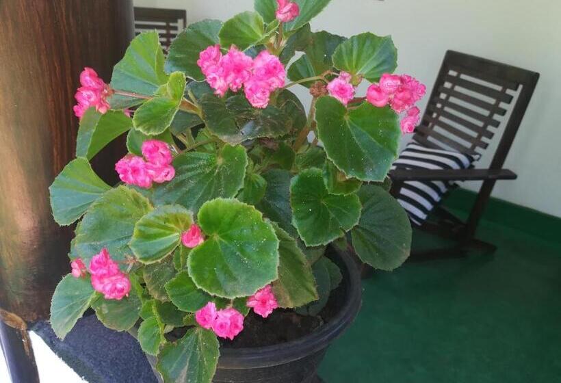 Bed and Breakfast Lakmal Homestay ,10 Minutes To Sigiriya Rock