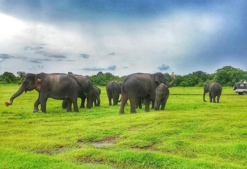 Bed and Breakfast Lakmal Homestay ,10 Minutes To Sigiriya Rock