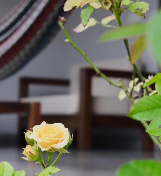 Bed and Breakfast The One Ella