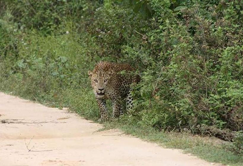 Lomakeskus Nature Park Udawalawe