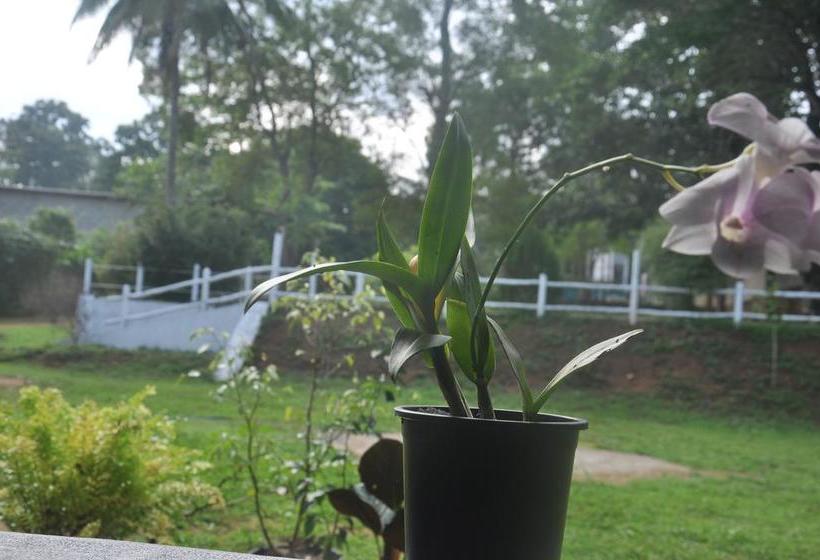 Lomakeskus Nature Park Udawalawe