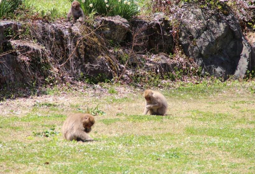 ريوكان Oribana