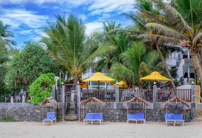 ホテル Tharanga Surfing Villa