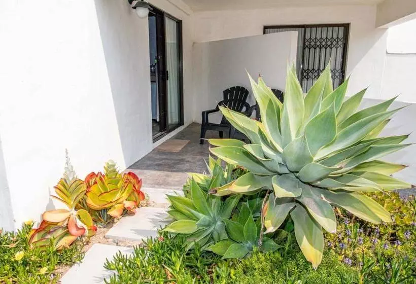 تختخواب و صبحانه Roosmarijn Guest House