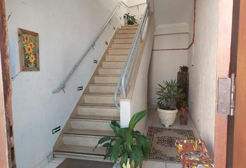هتل Rex
