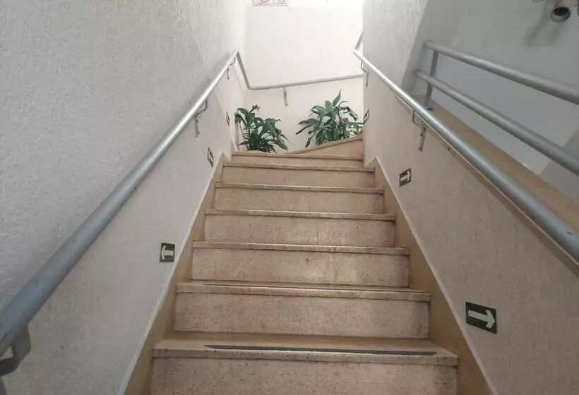 هتل Rex