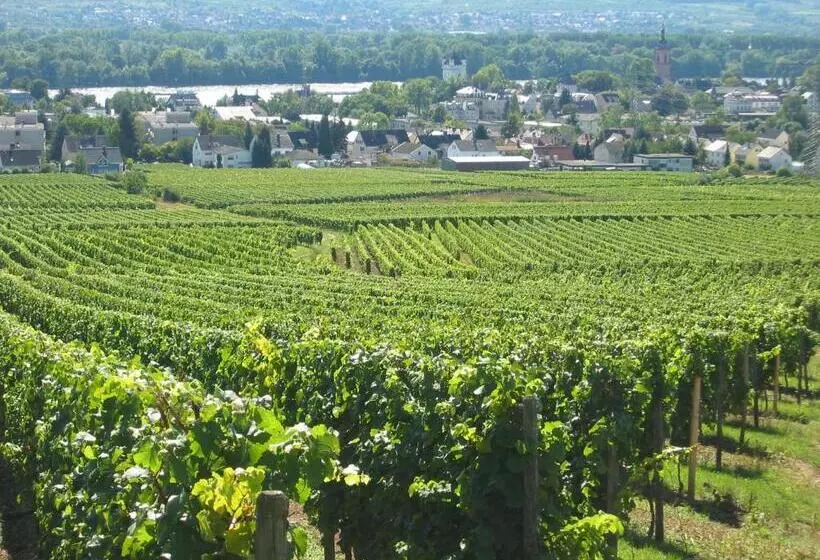 Wein Hotel Koegler
