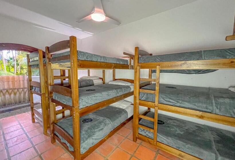 Beer Hostel Suites Privativas E Compartilhadas