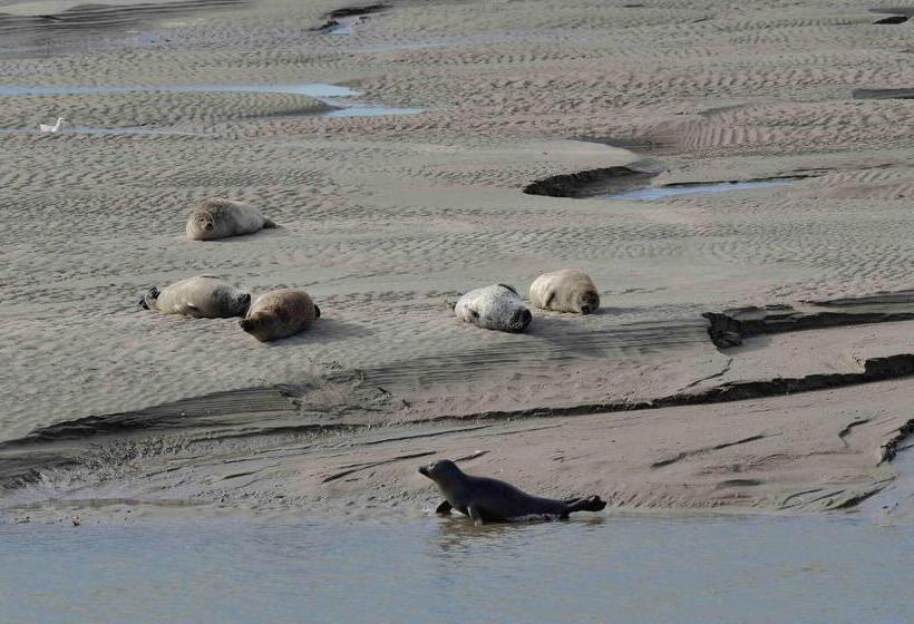 בית מלון כפרי Chez Mireille Reingam Park