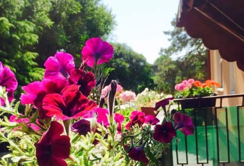 Bed and Breakfast Amore Rosa