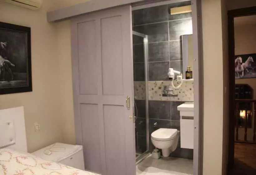 ベッドアンドブレックファースト Balim Sultany