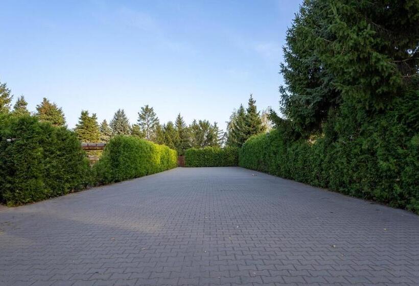 ベッドアンドブレックファースト Garden Vendégház Makó