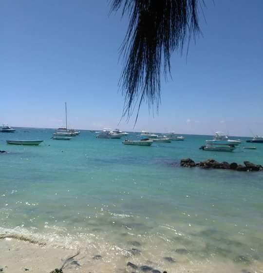 تختخواب و صبحانه Le Blues