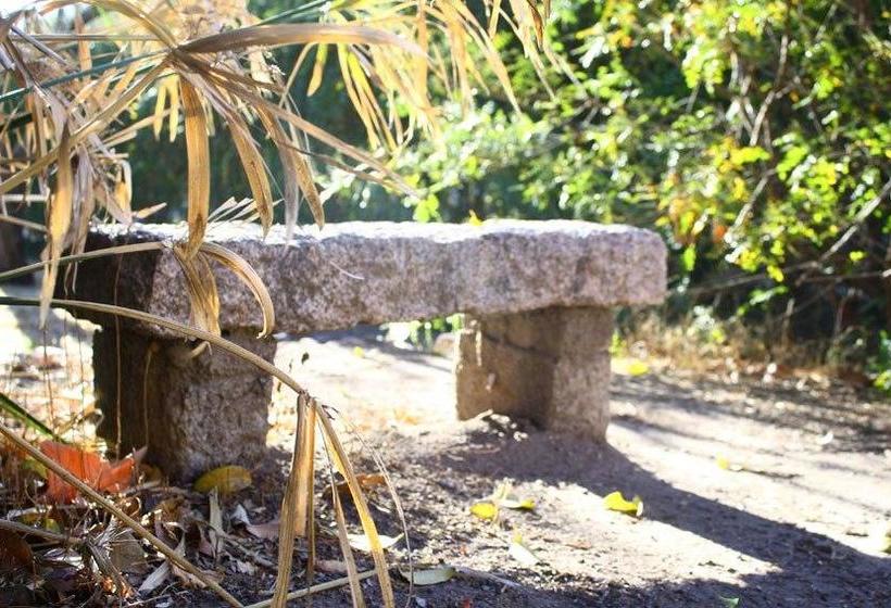 ベッドアンドブレックファースト Villa Margarita