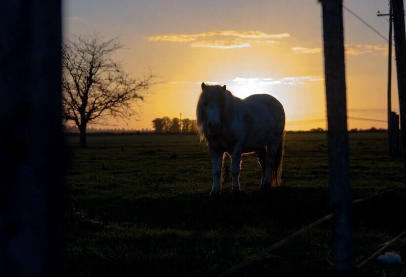 Complejo Turistico Flores Hotel De Campo