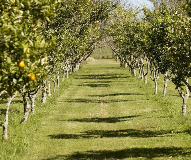 Complejo Turistico Flores Hotel De Campo