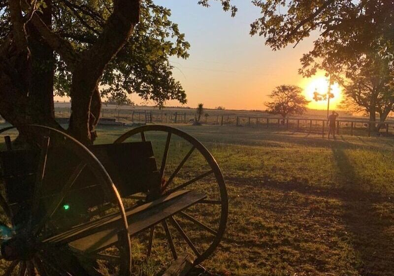Complejo Turistico Flores Hotel De Campo