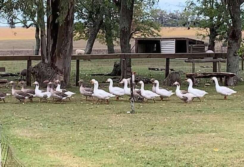 Complejo Turistico Flores Hotel De Campo