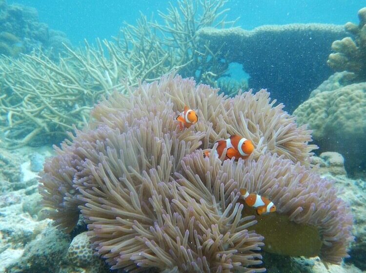 בית מלון כפרי Aleston Secret