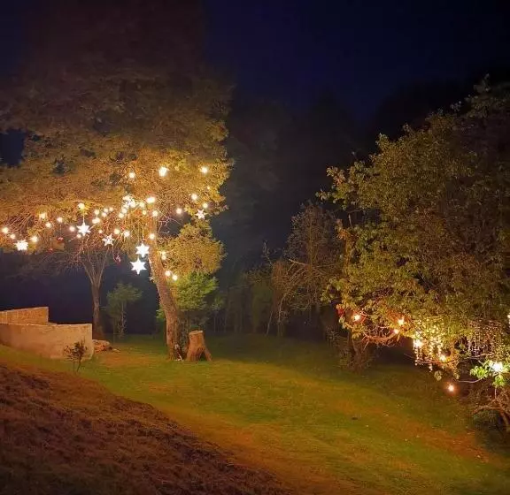 ホテル Luchita Mia Eco Cabañas Boutique