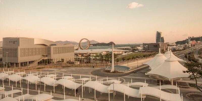 Paulownia Hostel & Guest House