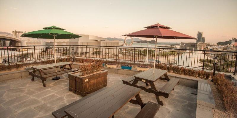 Paulownia Hostel & Guest House