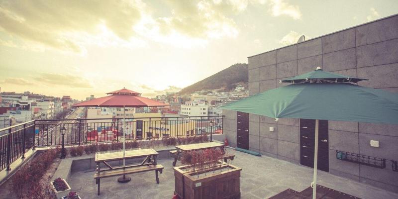 Paulownia Hostel & Guest House