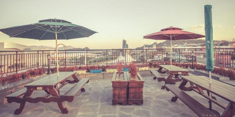 Paulownia Hostel & Guest House