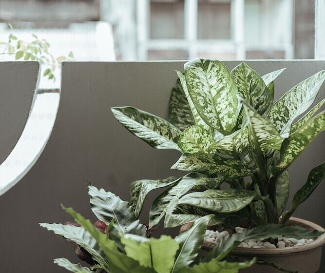 A Local Something Hostel